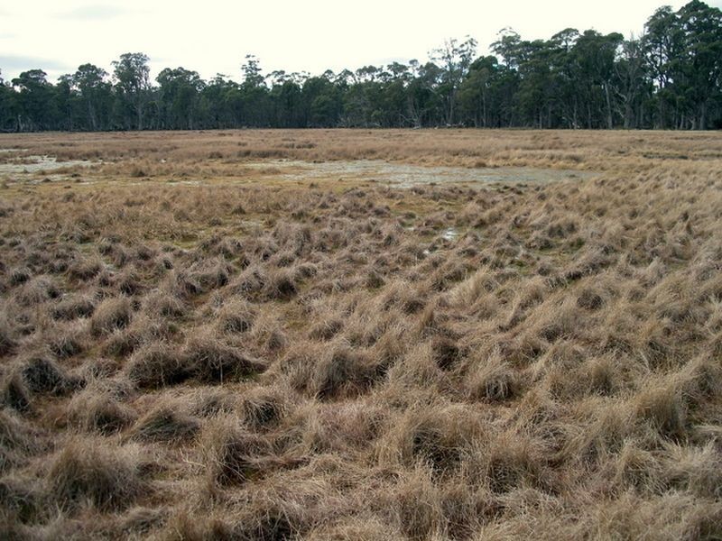 Glovers Rd, Bothwell TAS 7030