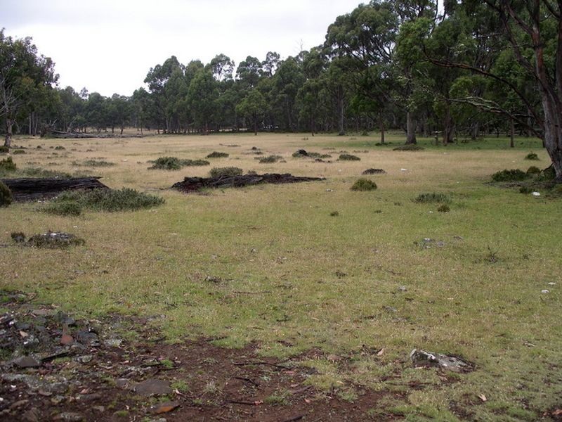 Glovers Rd, Bothwell TAS 7030