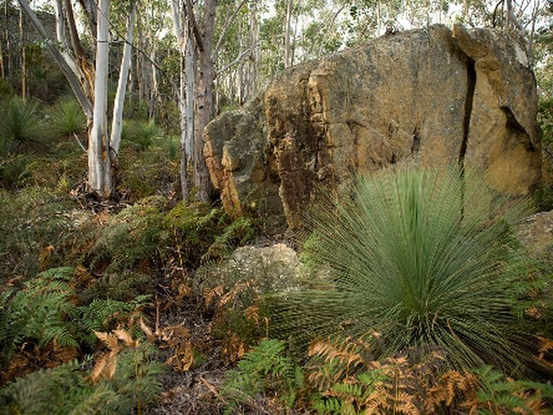 Lot 1 Grasstree Hill Rd, Grasstree Hill TAS 7017