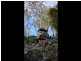 Lot 1 Grasstree Hill Rd, Grasstree Hill TAS 7017