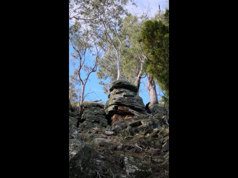 Lot 1 Grasstree Hill Rd, Grasstree Hill TAS 7017