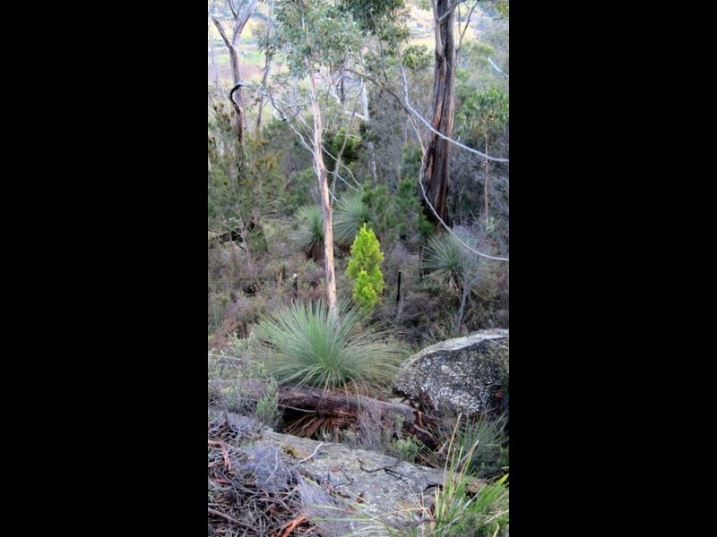 Lot 1 Grasstree Hill Rd, Grasstree Hill TAS 7017