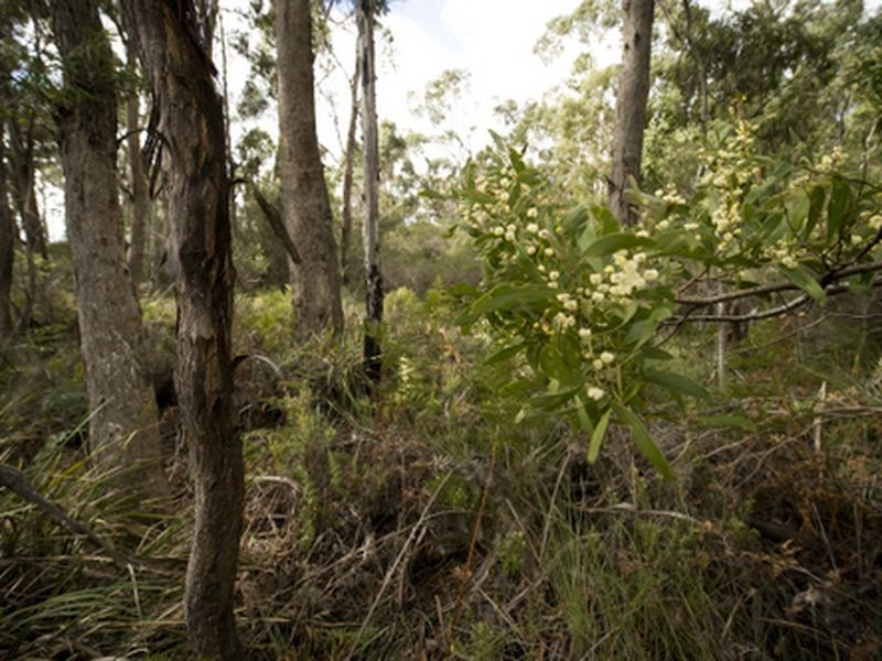 Greens Beach Rd, Clarence Point TAS 7270
