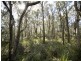 Greens Beach Rd, Clarence Point TAS 7270