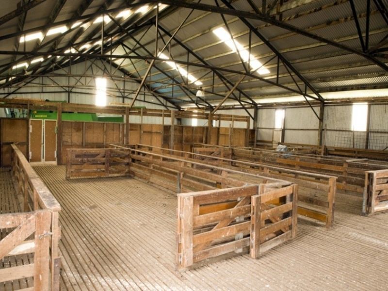 Powranna Road, Cressy TAS 7302