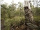 Prossers Rd, Nunamara TAS 7259