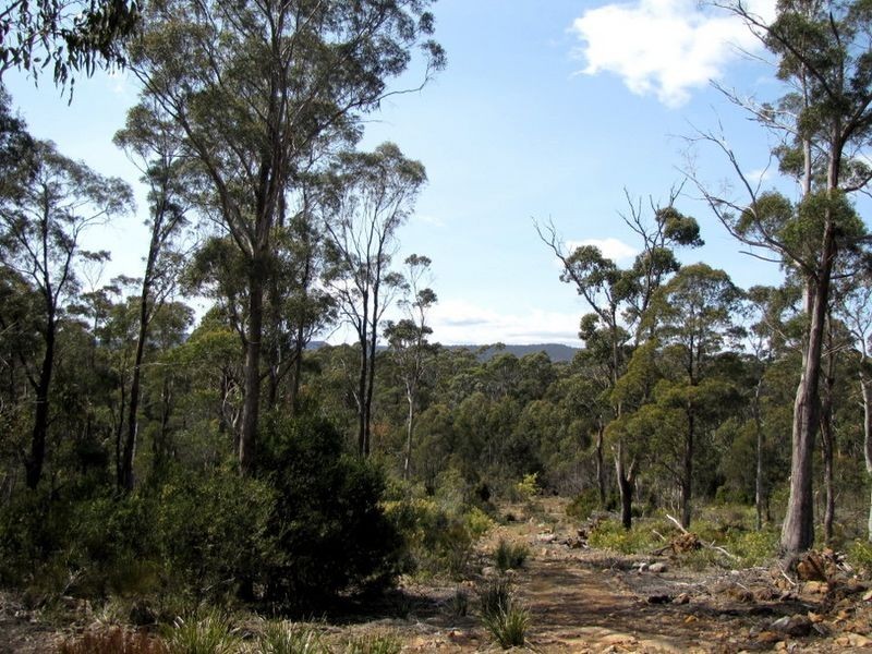 Prossers Rd, Underwood TAS 7268