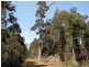 Prossers Rd, Underwood TAS 7268