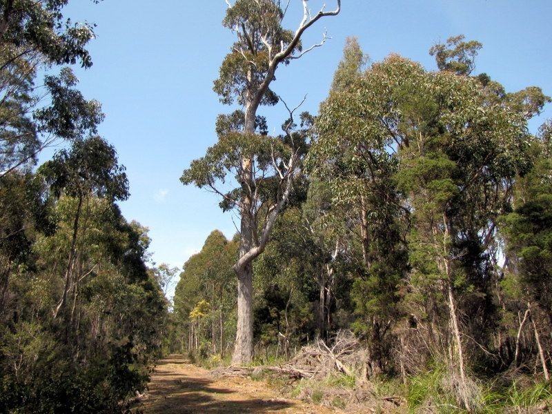 Prossers Rd, Underwood TAS 7268