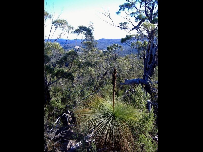 199 Rosedale Rd, Bicheno TAS 7215