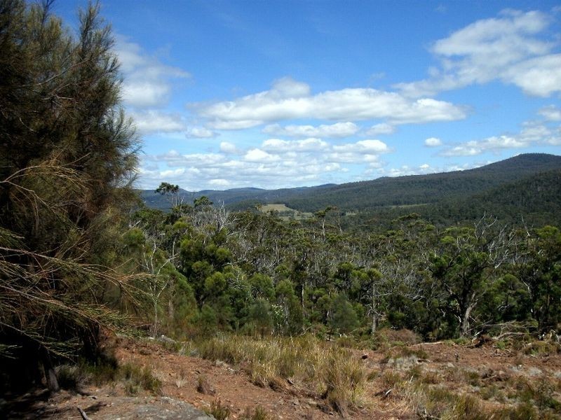 199 Rosedale Rd, Bicheno TAS 7215