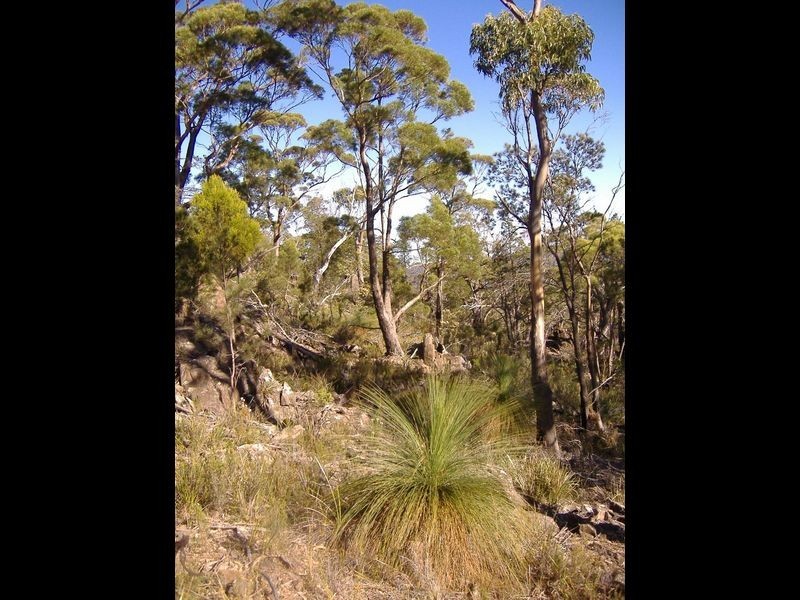 199 Rosedale Rd, Bicheno TAS 7215