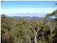 199 Rosedale Rd, Bicheno TAS 7215