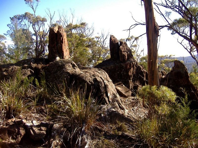 199 Rosedale Rd, Bicheno TAS 7215