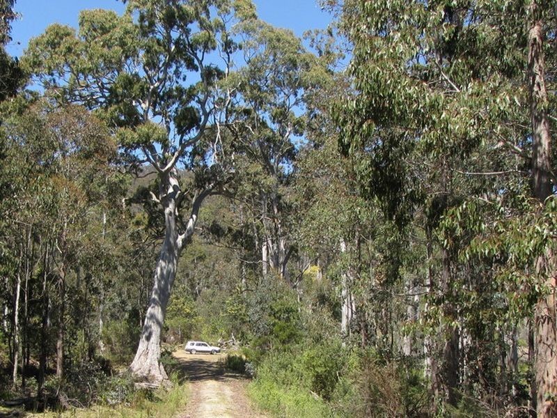 Roses Tier Rd, Blessington TAS 7212