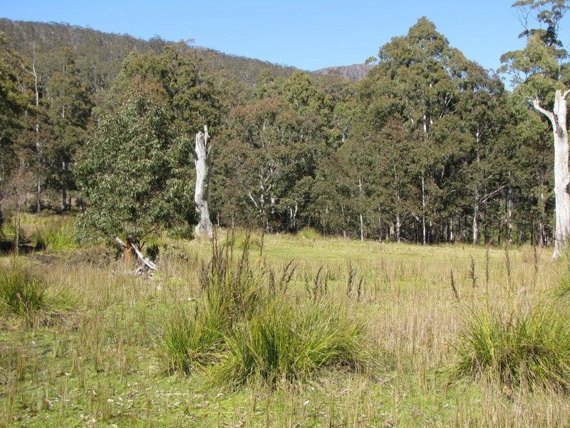 Roses Tier Rd, Blessington TAS 7212