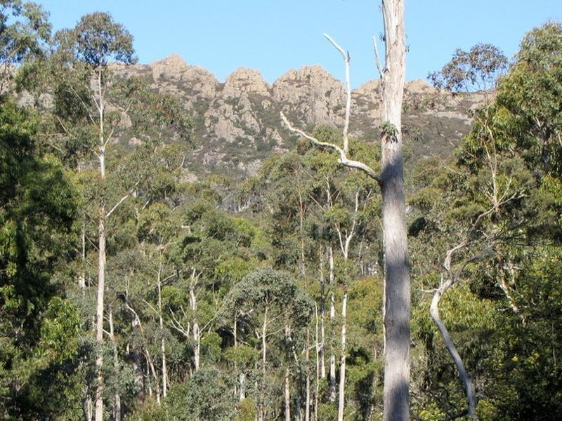 Schulhofs Rd, Blessington TAS 7212