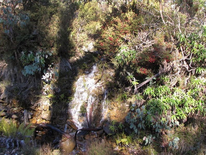 Schulhofs Rd, Blessington TAS 7212