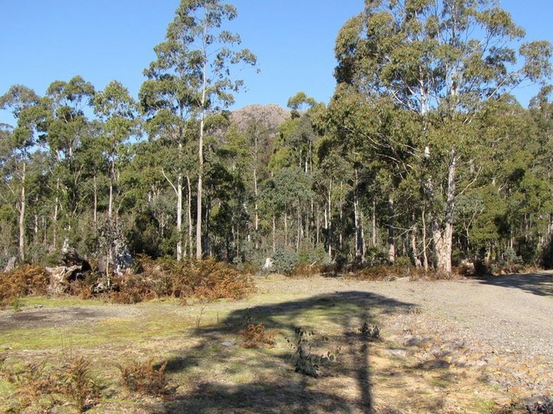 Schulhofs Rd, Blessington TAS 7212