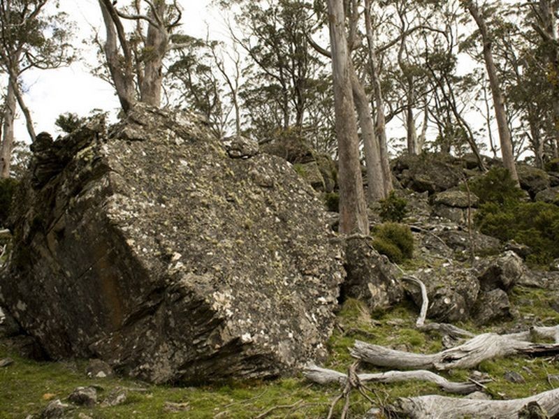 Schulhofs Rd, Blessington TAS 7212