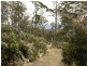 Schulhofs Rd, Blessington TAS 7212