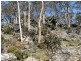 Schulhofs Rd, Blessington TAS 7212