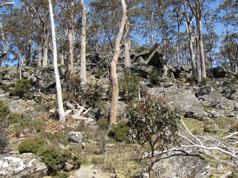 Schulhofs Rd, Blessington TAS 7212