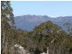 Schulhofs Rd, Blessington TAS 7212