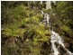 Schulhofs Rd, Blessington TAS 7212