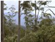 Schulhofs Rd, Blessington TAS 7212