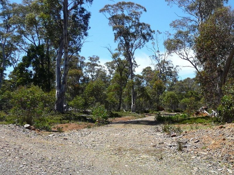 Victoria Valley Rd, Black Hills TAS 7140