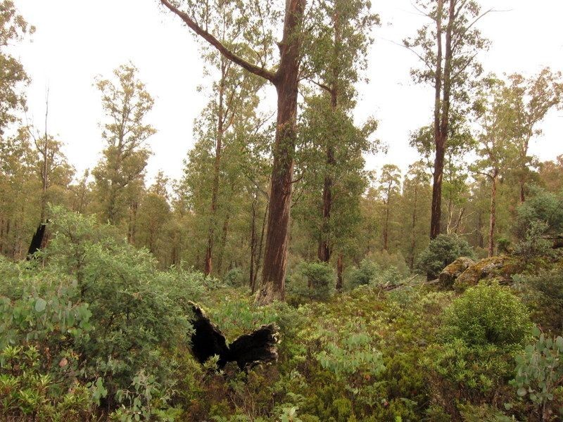 Victoria Valley Rd, Black Hills TAS 7140