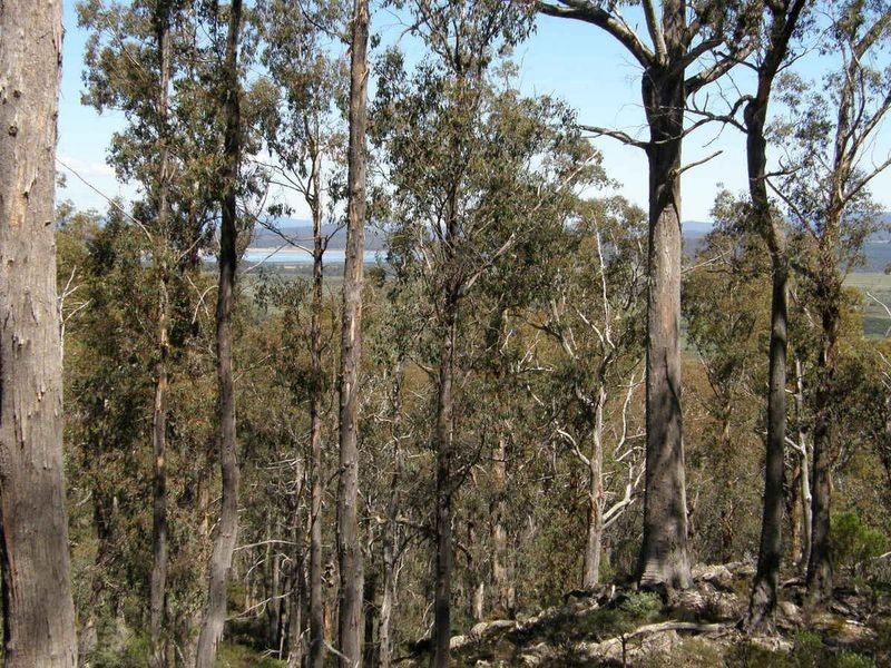 Victoria Valley Rd, Black Hills TAS 7140