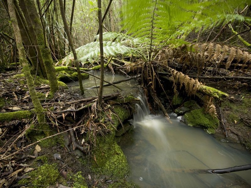 White Mills Rd, Underwood TAS 7268