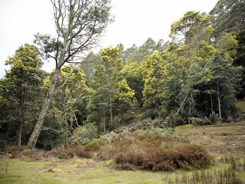 White Mills Rd, Underwood TAS 7268