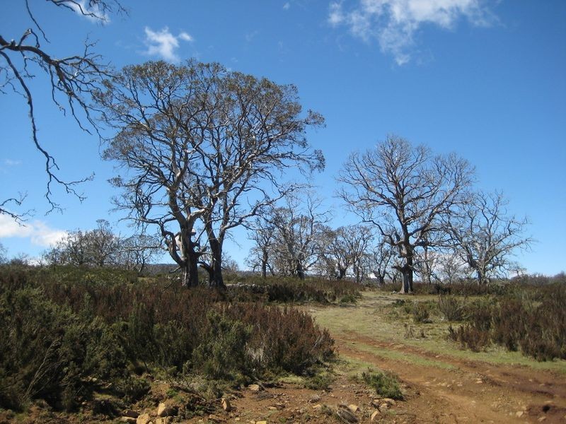 123H Tods Corner Road, Miena TAS 7030