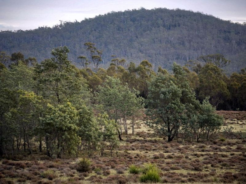 Epping For Powranna Road, Cressy TAS 7302