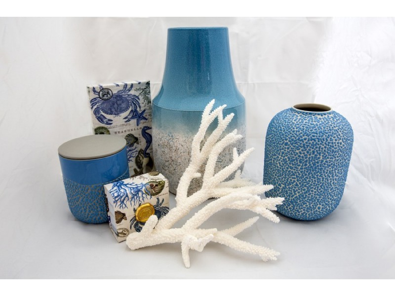 7/ Magnet Court, Sandy Bay TAS 7005