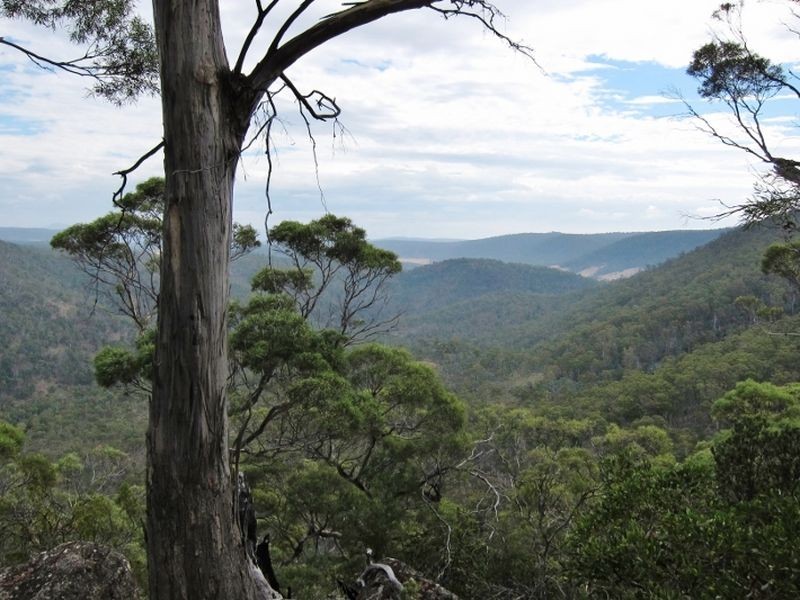 Green Tier Creek Swanston Road, Swanston TAS 7120