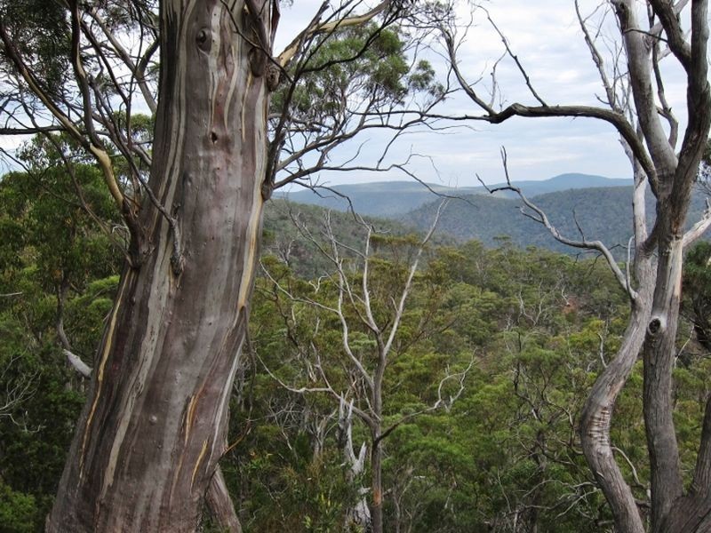 Green Tier Creek Swanston Road, Swanston TAS 7120
