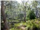 Green Tier Creek Swanston Road, Swanston TAS 7120