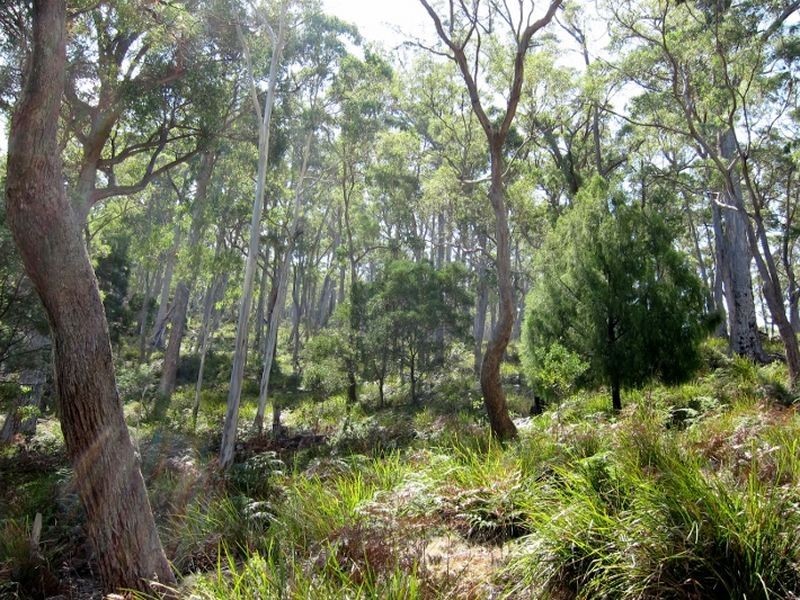 Green Tier Creek Swanston Road, Swanston TAS 7120