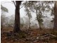 Green Tier Creek Swanston Road, Swanston TAS 7120