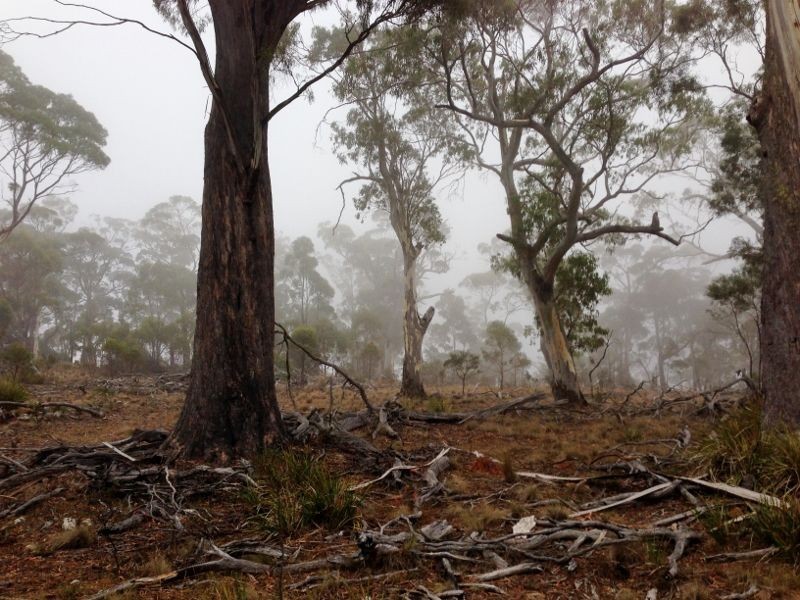 Green Tier Creek Swanston Road, Swanston TAS 7120