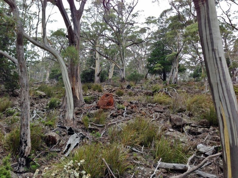 Green Tier Creek Swanston Road, Swanston TAS 7120