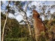 Green Tier Creek Swanston Road, Swanston TAS 7120