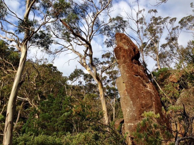 Green Tier Creek Swanston Road, Swanston TAS 7120