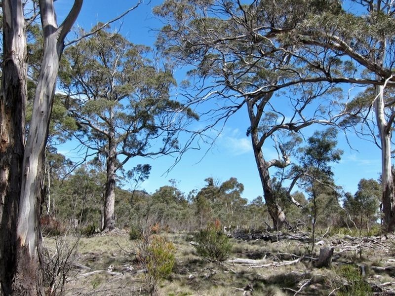 Green Tier Creek Swanston Road, Swanston TAS 7120