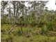 Lilla Vill Tasman Highway, Bicheno TAS 7215