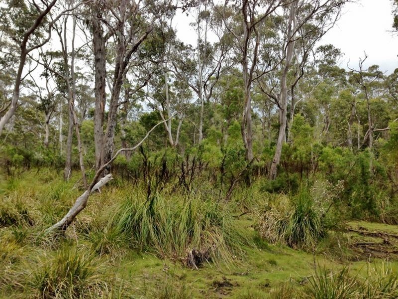 Lilla Vill Tasman Highway, Bicheno TAS 7215